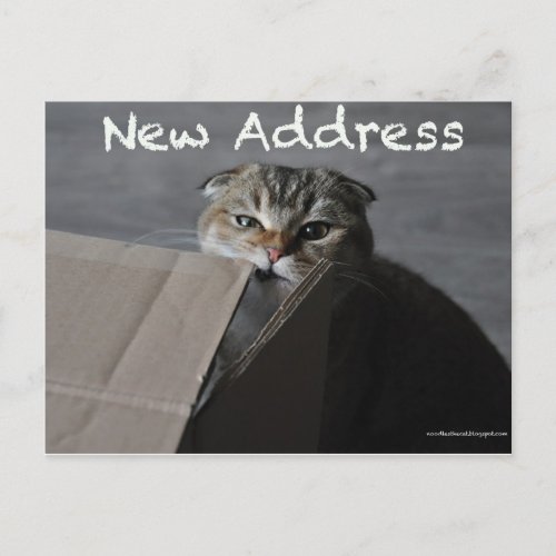 Cute scottish fold card cat funny moving address