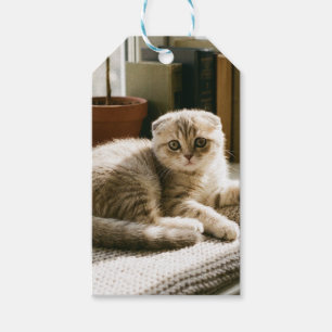 Cute Scottish Fold Cat Gift Tags - Cozy Cat Lover