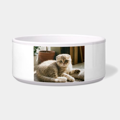 Cute Scottish Fold Cat Mug - Cozy Cat Lover Coffee Bowl