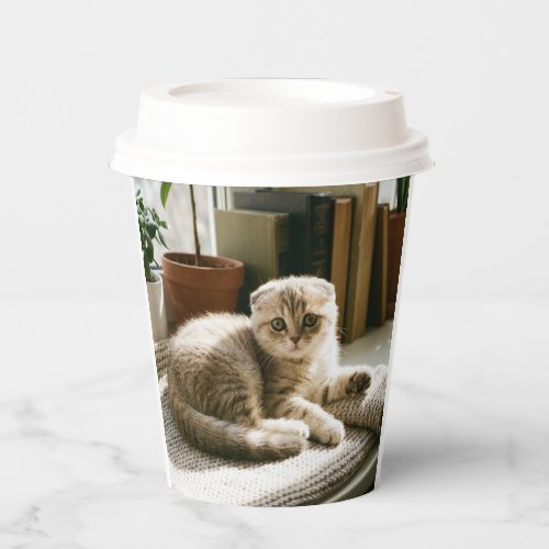 Cute Scottish Fold Cat Mug - Cozy Cat Lover Coffee Paper Cups