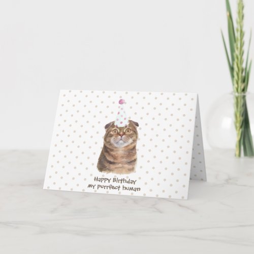 Cute Scottish Fold Cat with Party Hat Card