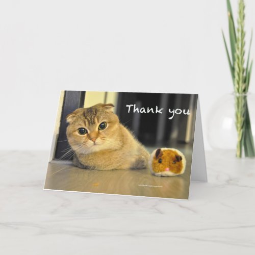 cute scottish fold noodles cat thank you card