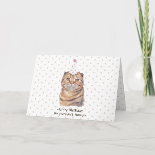 Cute Scottish Fold Short Hair Cat with Party Hat Card