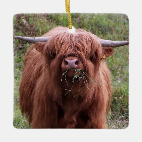 Cute Scottish Highland Cow Ceramic Ornament