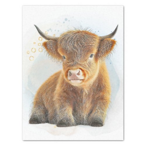 Cute Scottish Highlander Cow Tissue Paper