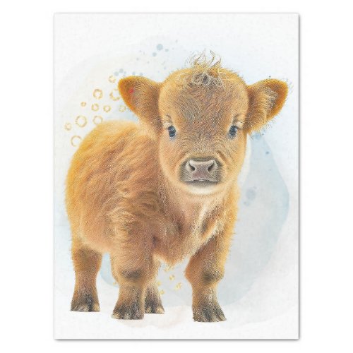 Cute Scottish Highlander Cow Tissue Paper