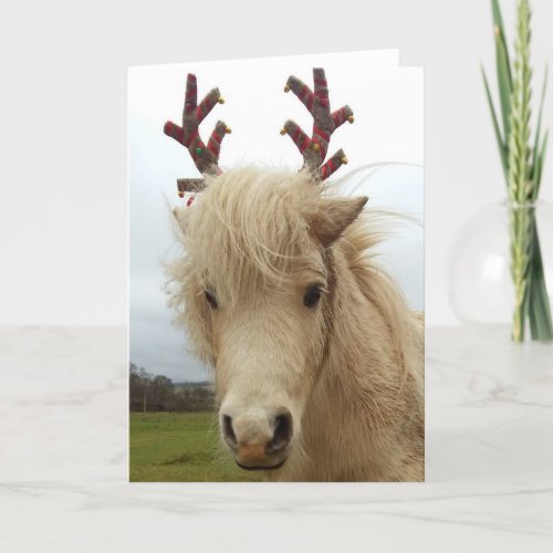 Cute Scottish Shetland Pony antlers Christmas Holiday Card