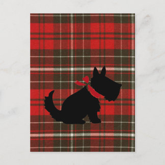 Cute Scotty Dog & Red Tartan Postcard