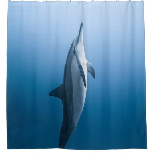 Cute Sea Dolphin Shower Curtain