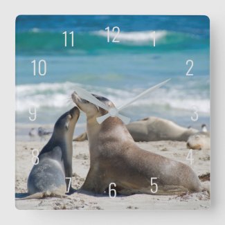 Cute Sea Lion & Baby Pup Beach Australia Square Wa