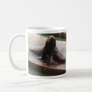 Cute Sea Lion Photograph Coffee Mug