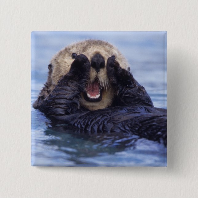 Cute Sea Otter | Alaska, USA Button (Front)