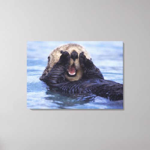 Cute Sea Otter  Alaska USA Canvas Print