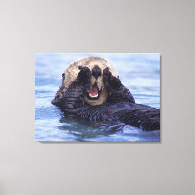 Cute Sea Otter | Alaska, USA Canvas Print (Front)