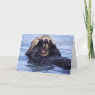 Cute Sea Otter   Alaska, USA Card
