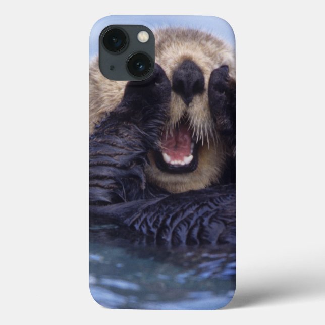 Cute Sea Otter | Alaska, USA Case-Mate iPhone Case (Back)