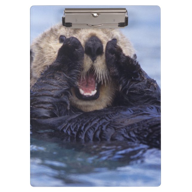 Cute Sea Otter | Alaska, USA Clipboard (Front)