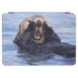 Cute Sea Otter   Alaska, USA iPad Air Cover