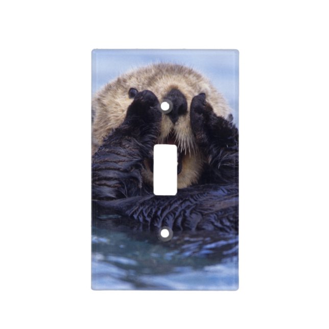 Cute Sea Otter | Alaska, USA Light Switch Cover (Front)