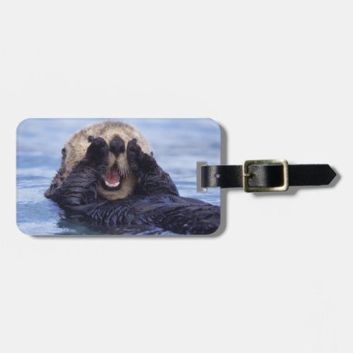 Cute Sea Otter  Alaska USA Luggage Tag
