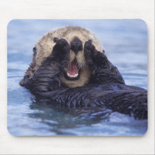 Cute Sea Otter   Alaska, USA Mouse Pad