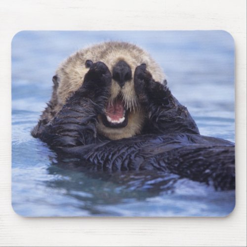 Cute Sea Otter  Alaska USA Mouse Pad
