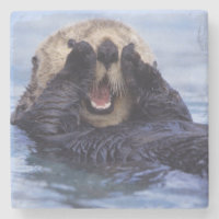 Cute Sea Otter | Alaska, USA