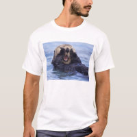 Cute Sea Otter | Alaska, USA