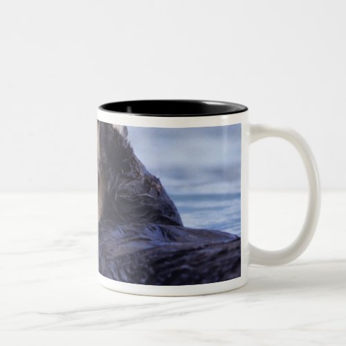 Cute Sea Otter  Alaska USA Two_Tone Coffee Mug