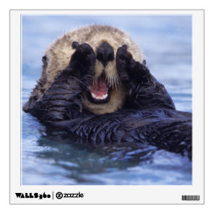 Cute Sea Otter Alaska, USA Wall Sticker