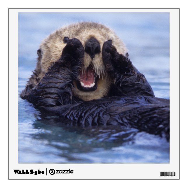 Cute Sea Otter | Alaska, USA Wall Sticker (Front)