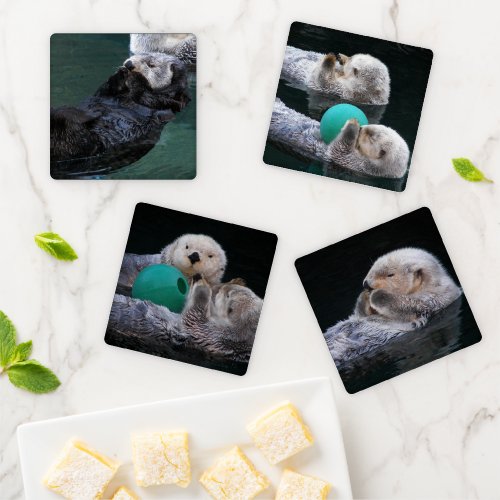 Cute Sea Otter Photos Coaster Set