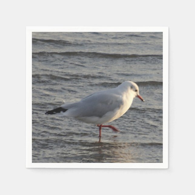 Cute Seagull Napkins (Front)