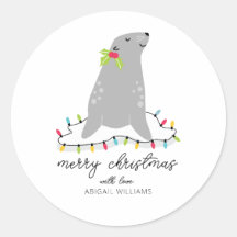 Cute Seal Christmas