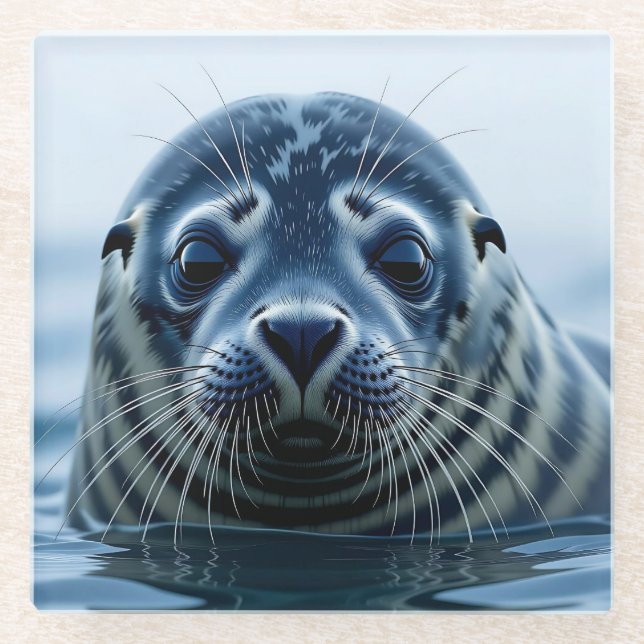Cute Seal Close up Glass Coaster (Front)