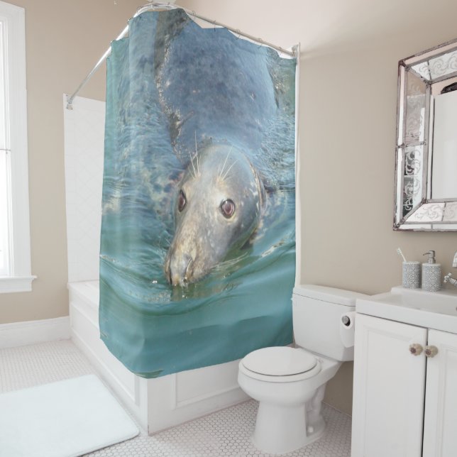 Cute Seal from Cape Cod Shower Curtain (In Situ)