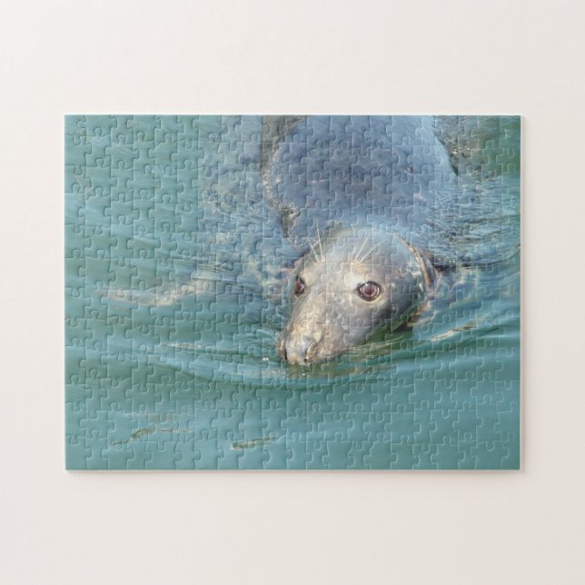 Cute Seal in Cape Cod Jigsaw Puzzle (Horizontal)