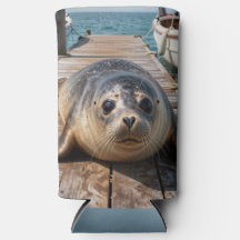Cute Seal Laying on Boat Dock Ocean Pier