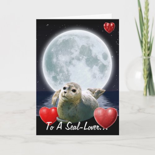 Cute Seal_lover Birthday Card