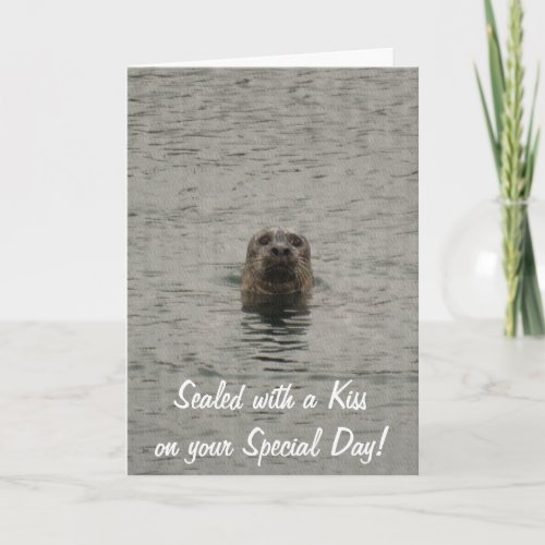 Cute Seal_lovers Birthday Card