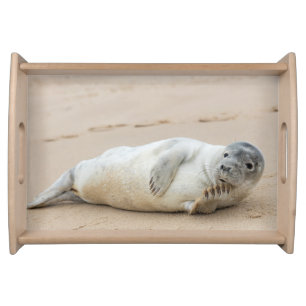 Cute Seal Posing on a Beach Serving Tray