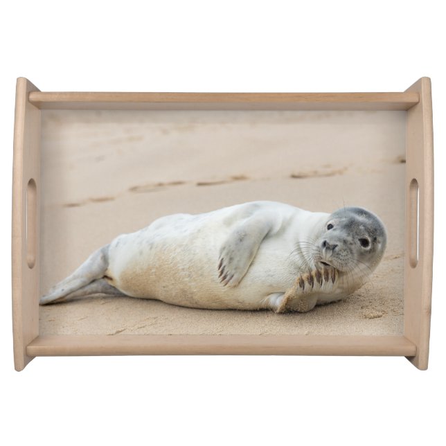 Cute Seal Posing on a Beach Serving Tray (Front)