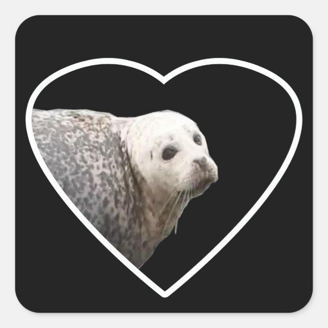 Cute Seal Sticker (Front)