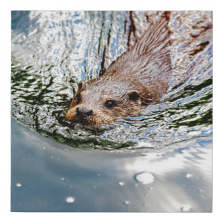 CUTE SEAL SWIMMING FAUX CANVAS PRINT