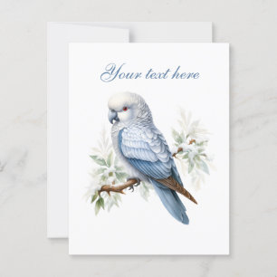 Cute Seasonal Winter bird add text Postcard