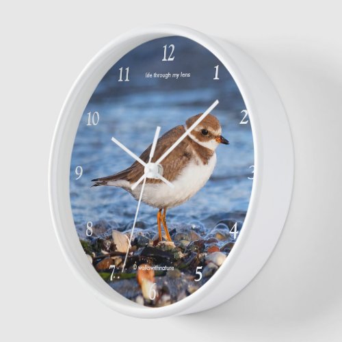Cute Semipalmated Plover Sandpiper Shorebird Wall Clock