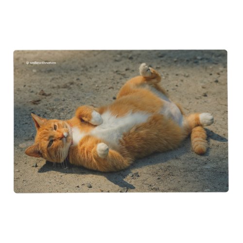 Cute Shadowboxing Orange Tabby Cat in the Gravel Placemat