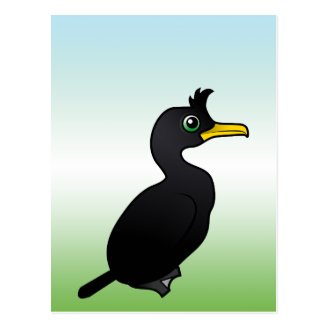 European Shag Postcard