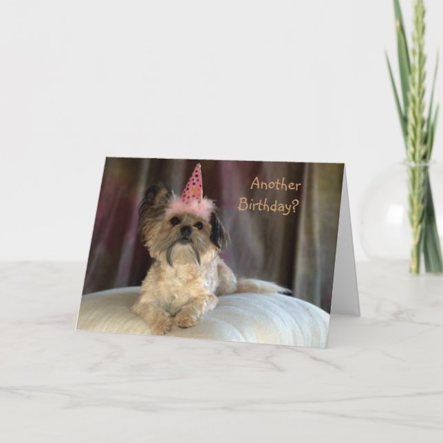 Cute Shaggy Dog Birthday Card (Front)