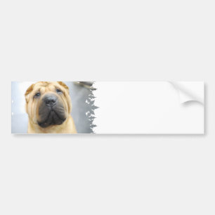 Cute Shar Pei Bumper Sticker